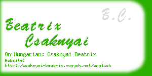 beatrix csaknyai business card
